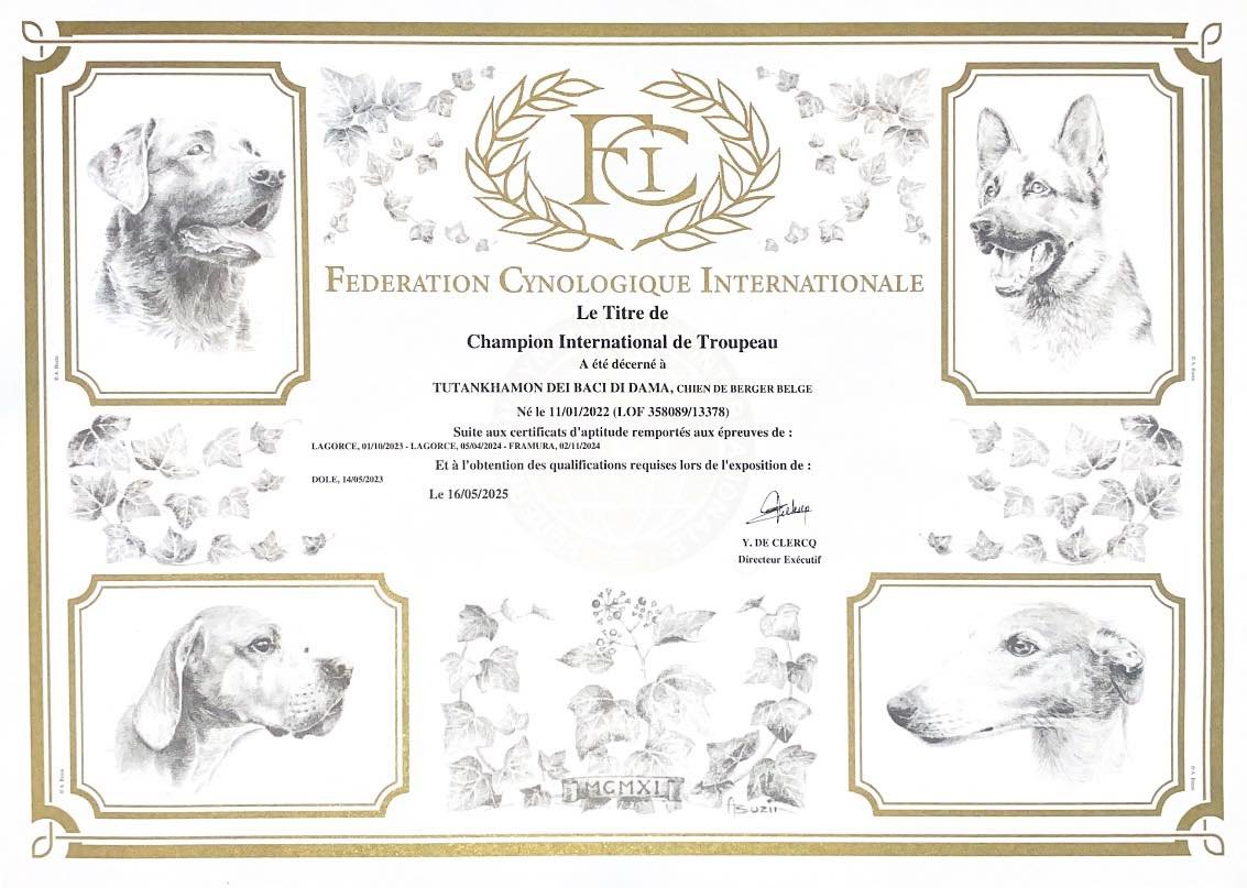 CAMPIONE INTERNAZIONALE DI LAVORO FCI