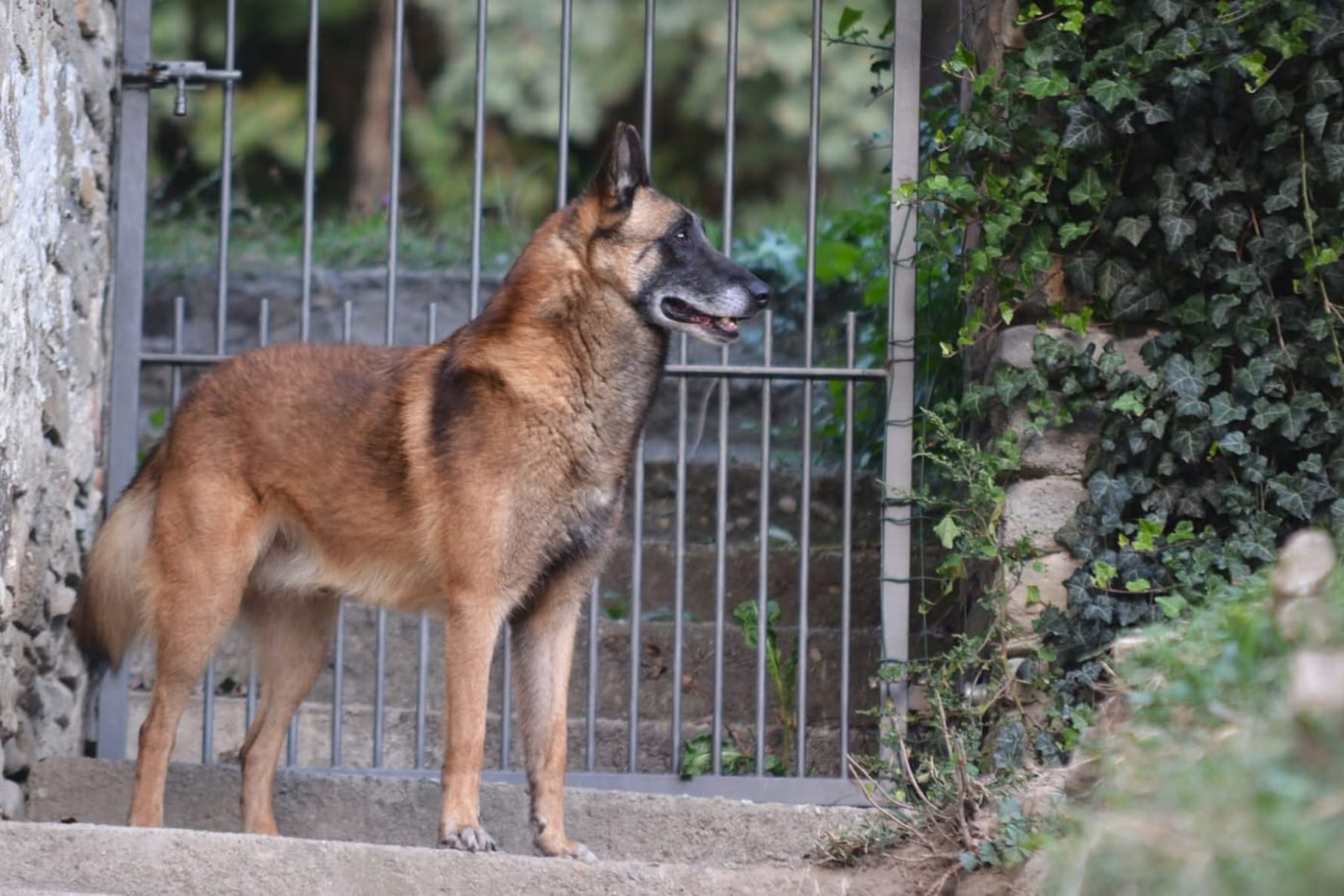 Progetto senza titolo (1)