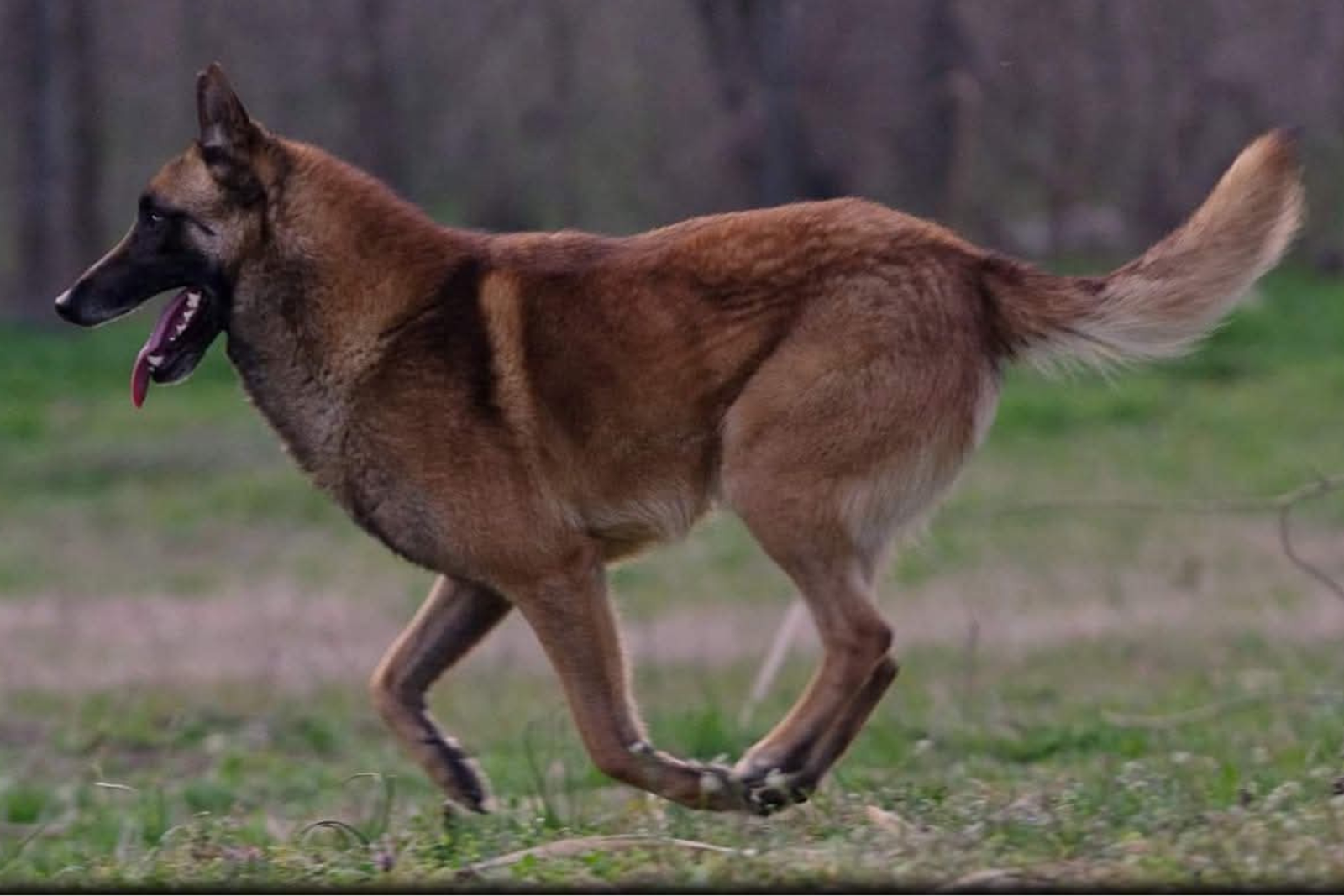 Progetto senza titolo