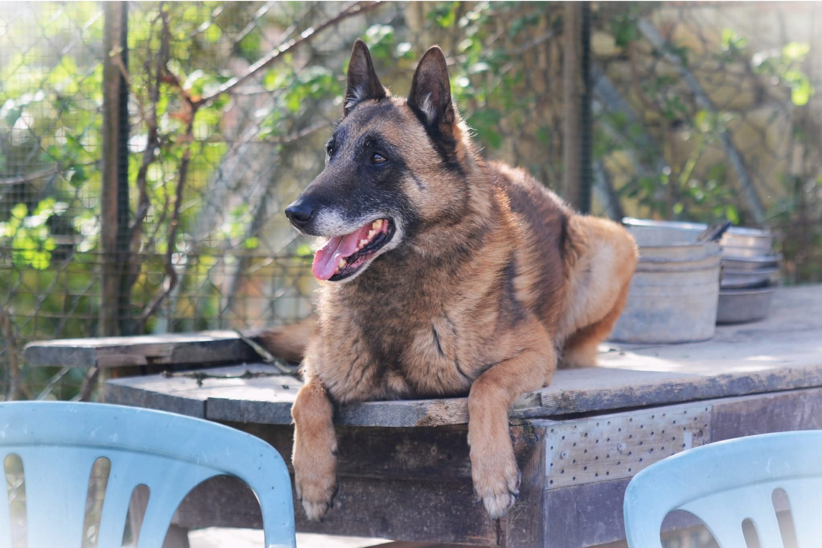 Progetto senza titolo (4)