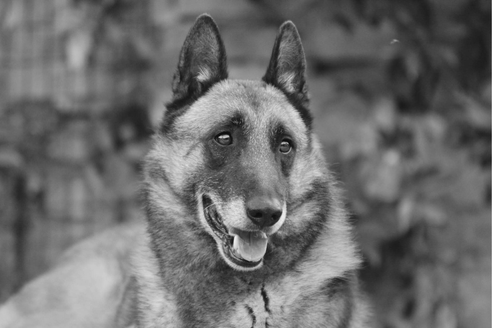 Progetto senza titolo (5)