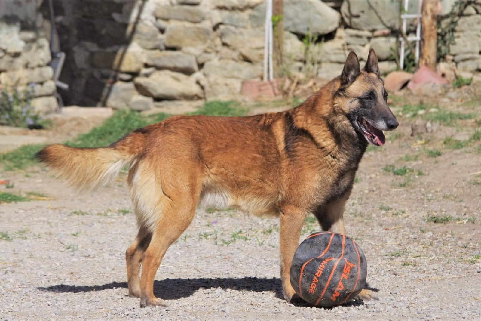 Progetto senza titolo (7)