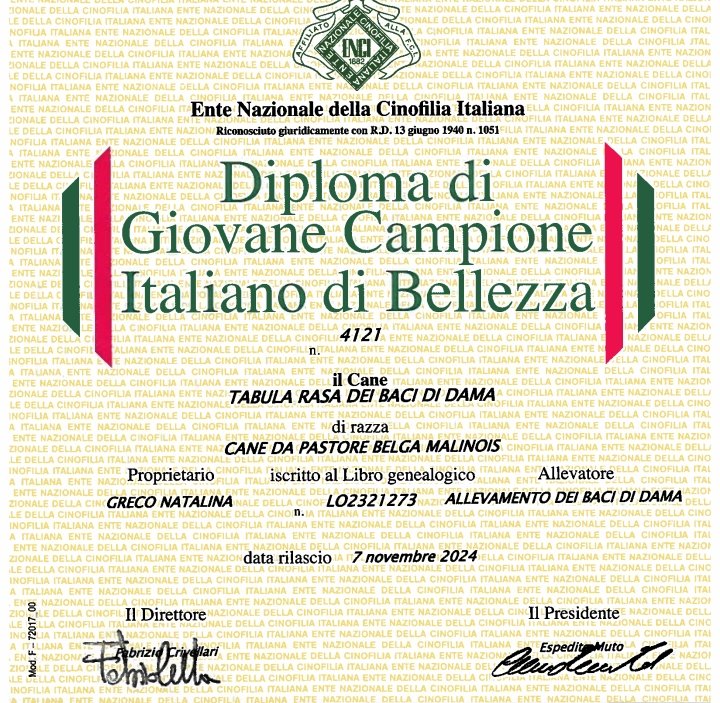 Giovane Campione Italiano di Bellezza