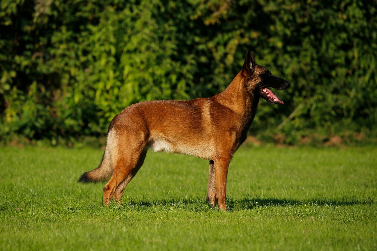 2fbe05c5-b2fb-4ec6-b72f-becb3ee6353f