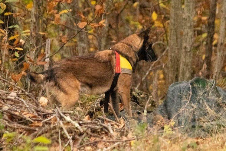 337665847_1405117953361072_746217462205758677_n