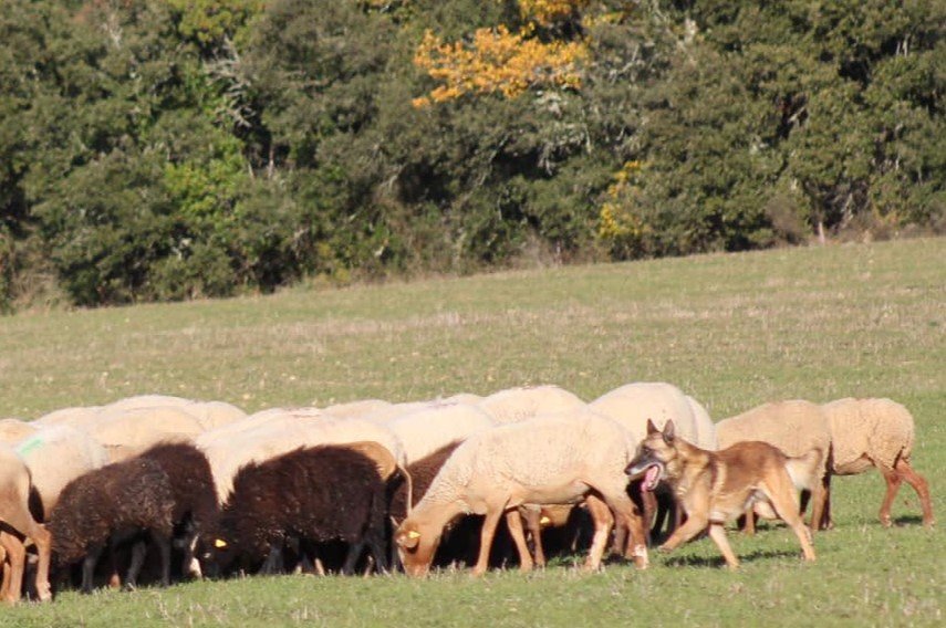 406463806_10228582227492635_5618267774376399190_n