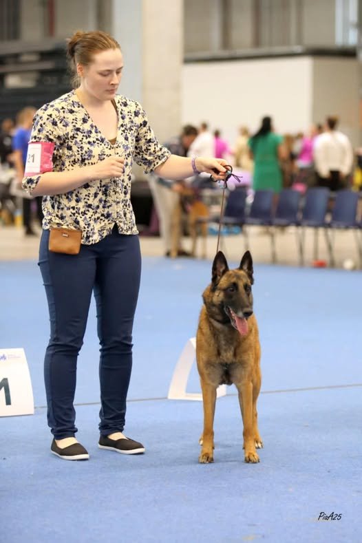 EXPO ALL’ESTERO: TUTTA N’ATA STORIA 1° Ecc. BOS