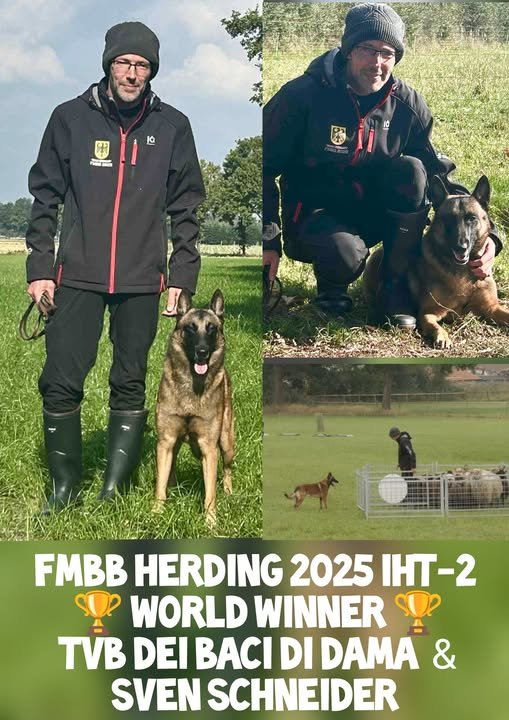 FMBB HERDING 2025 IHT-2 TS  WORLD WINNER CON DEDICA SPECIALE !!!