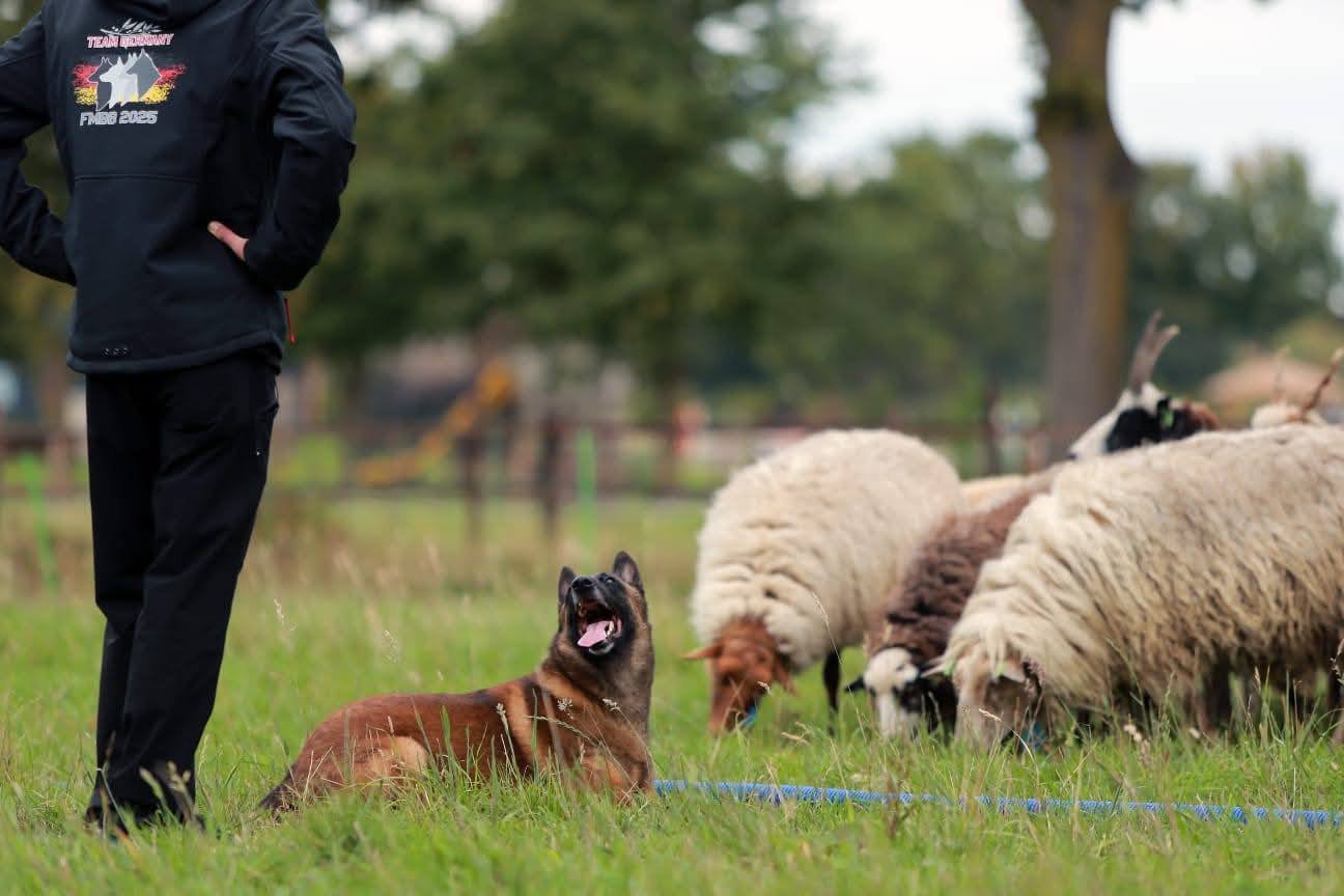 555439858_3865660770233903_5091188889993240341_n