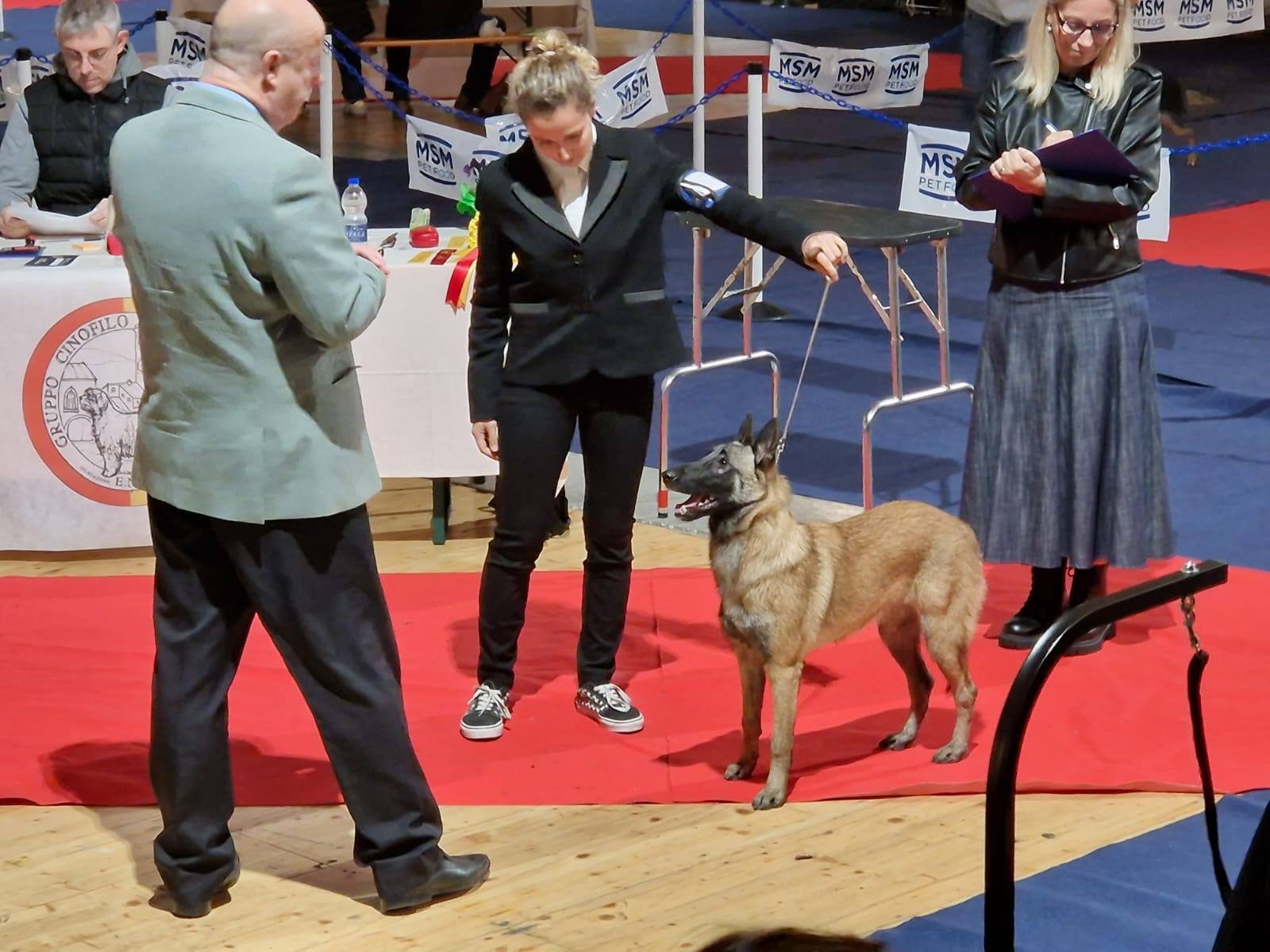 RISULTATI EXPO: IDS BERGAMO – SPECIALE CAPB 18.10.2025