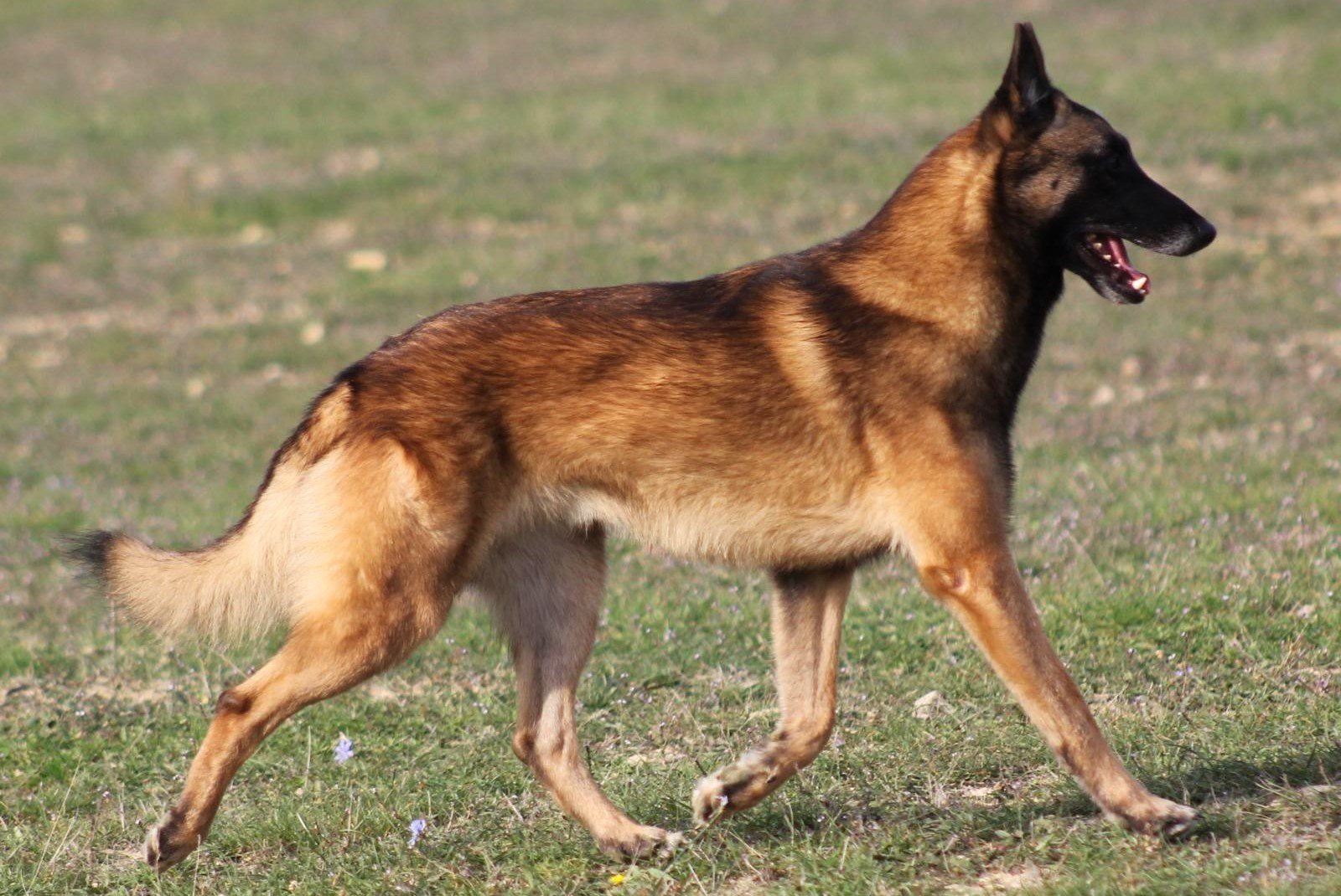 Immagine WhatsApp 2025-10-07 ore 15.28.04_6d04a2fa