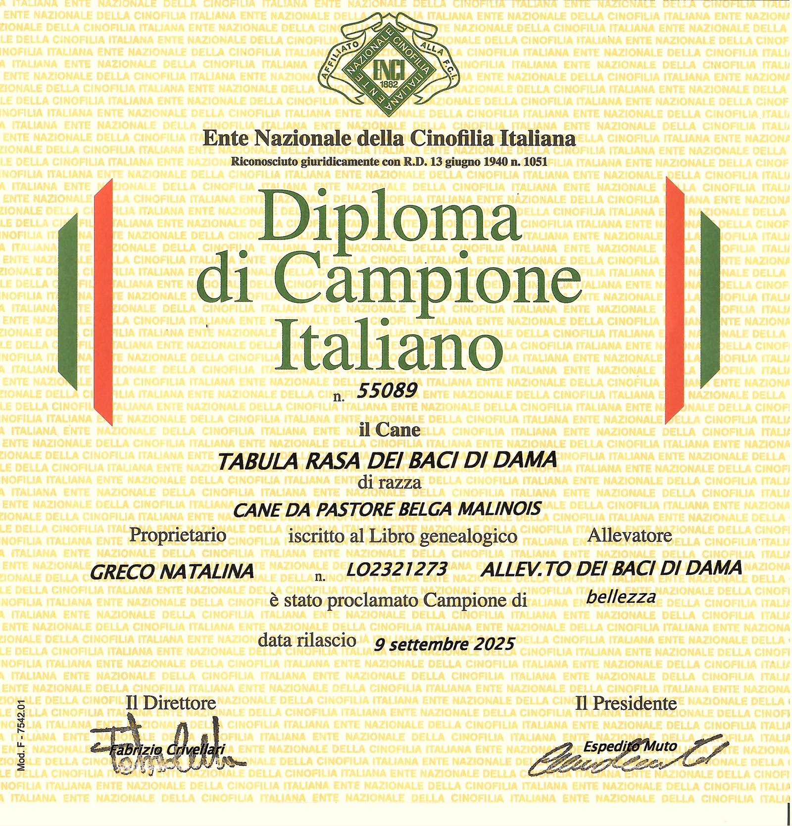 TABULA RASA DEI BACI DI DAMA Campione Italiano di Bellezza